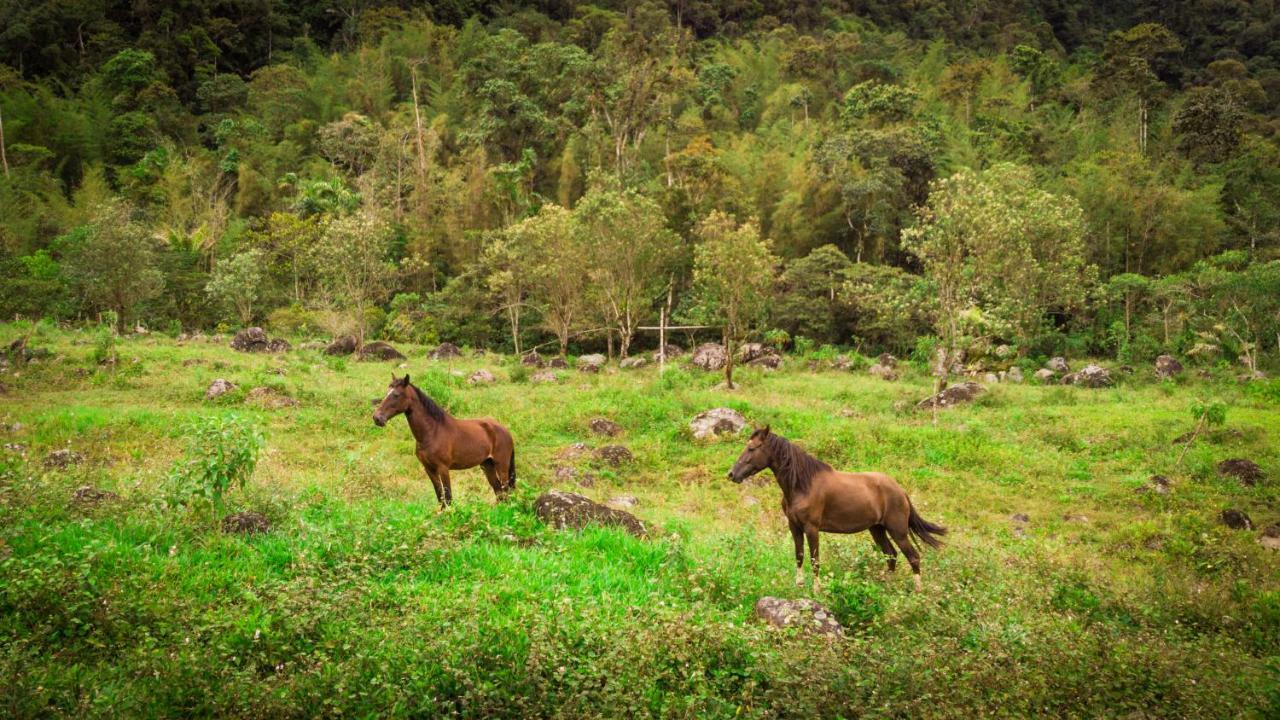 Sacha Urco Y Bosque Protector Lodge Mindo